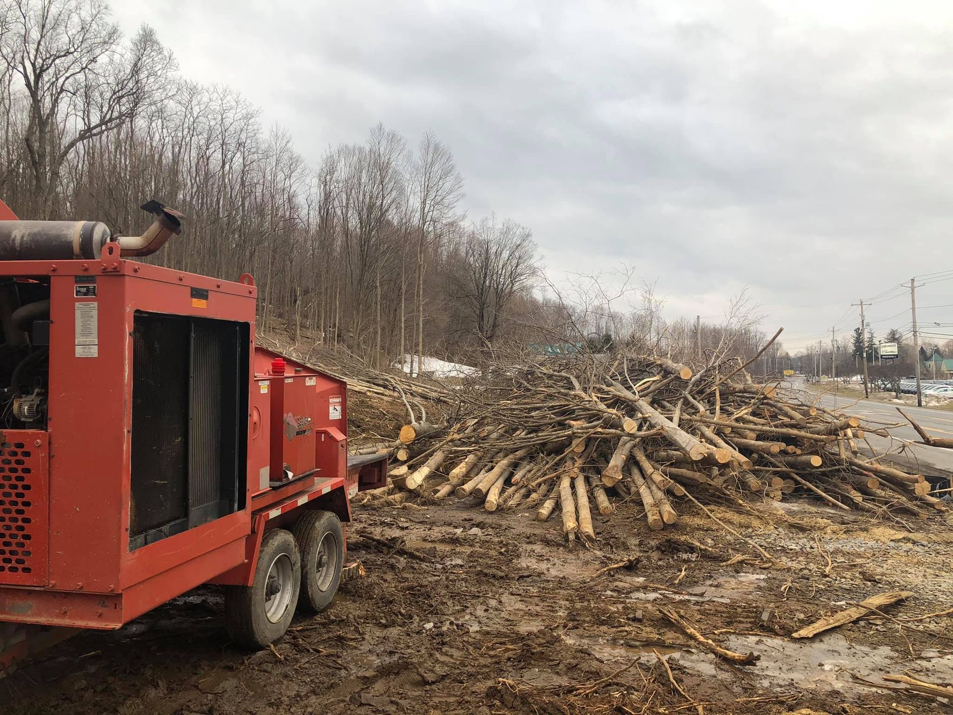 Red wood chipper next to a pile of cut logs on muddy ground near a road and bare trees.
