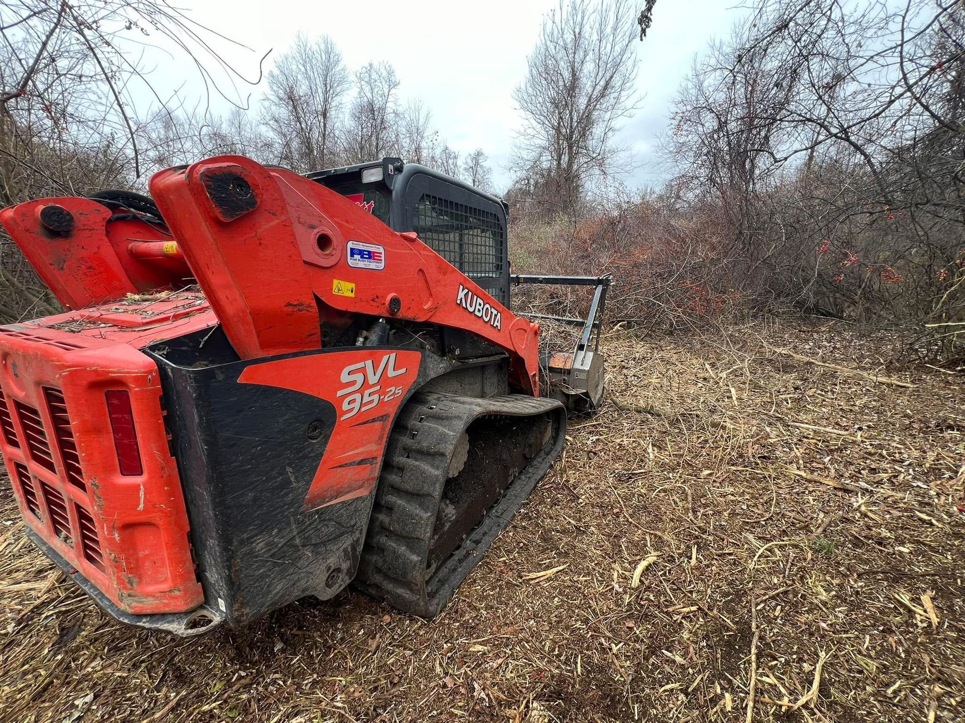 Orange Bobcat skid-steer loader on tracks clearing brush in a wooded area.