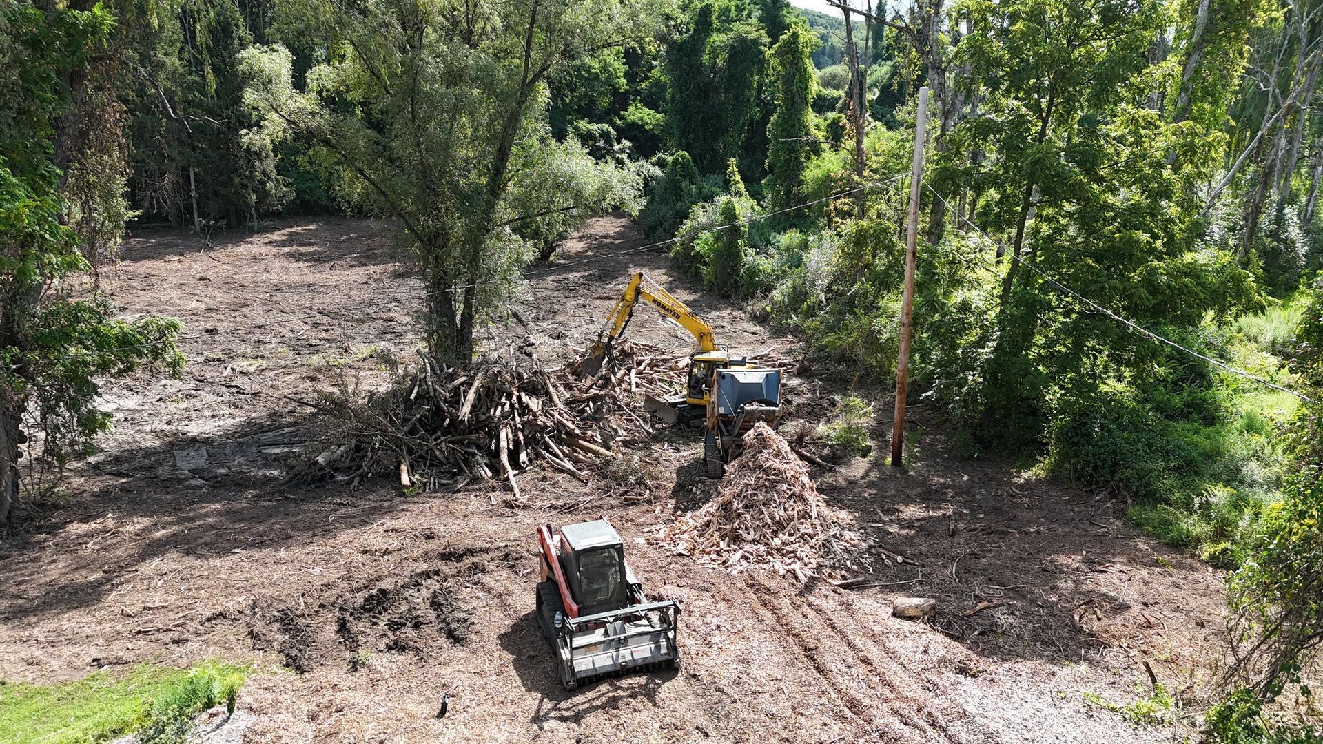 Two excavators clearing a forested area, moving dirt and debris.