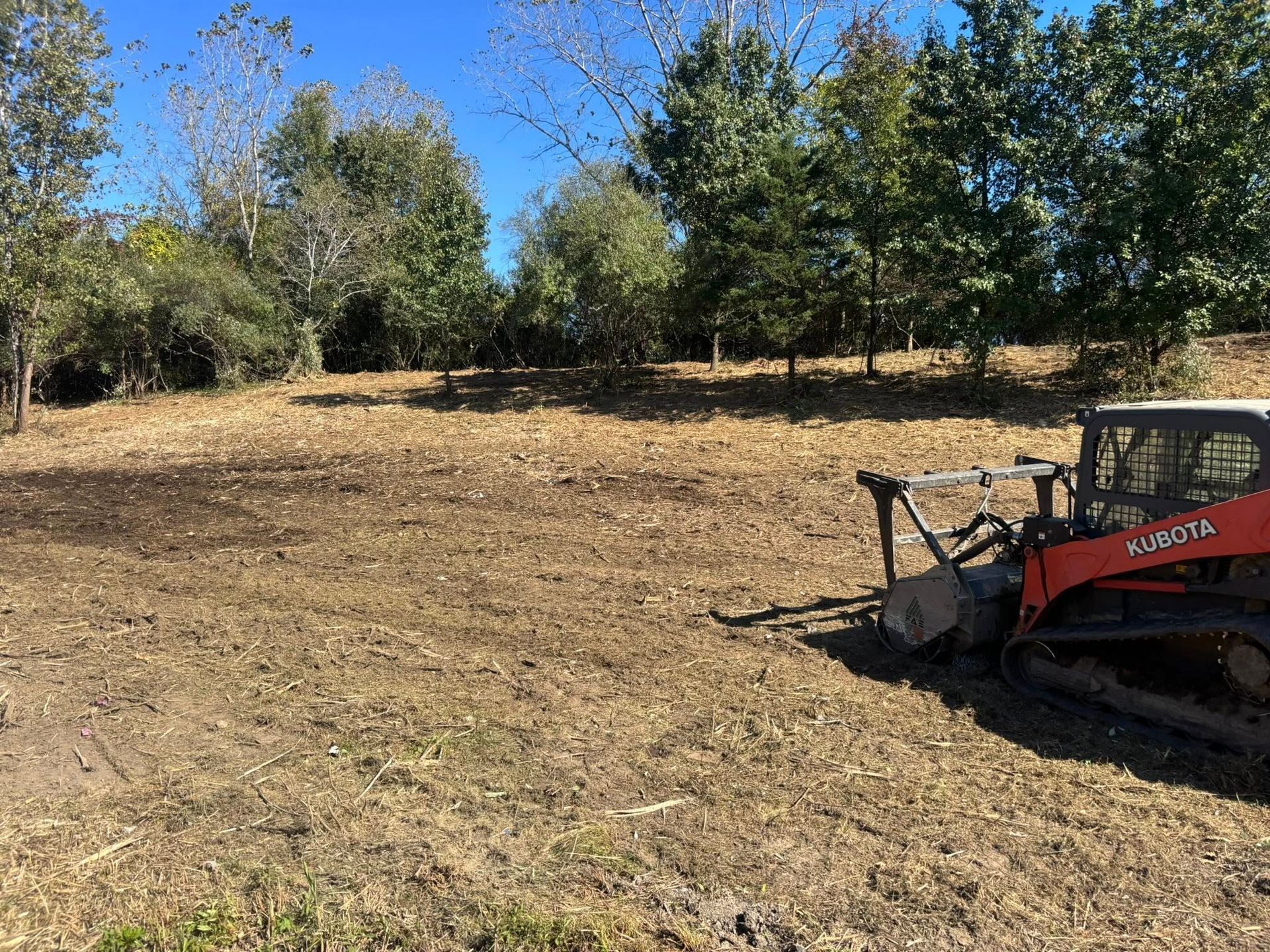A Kubota skid steer clearing a field of dry vegetation near trees on a sunny day.
