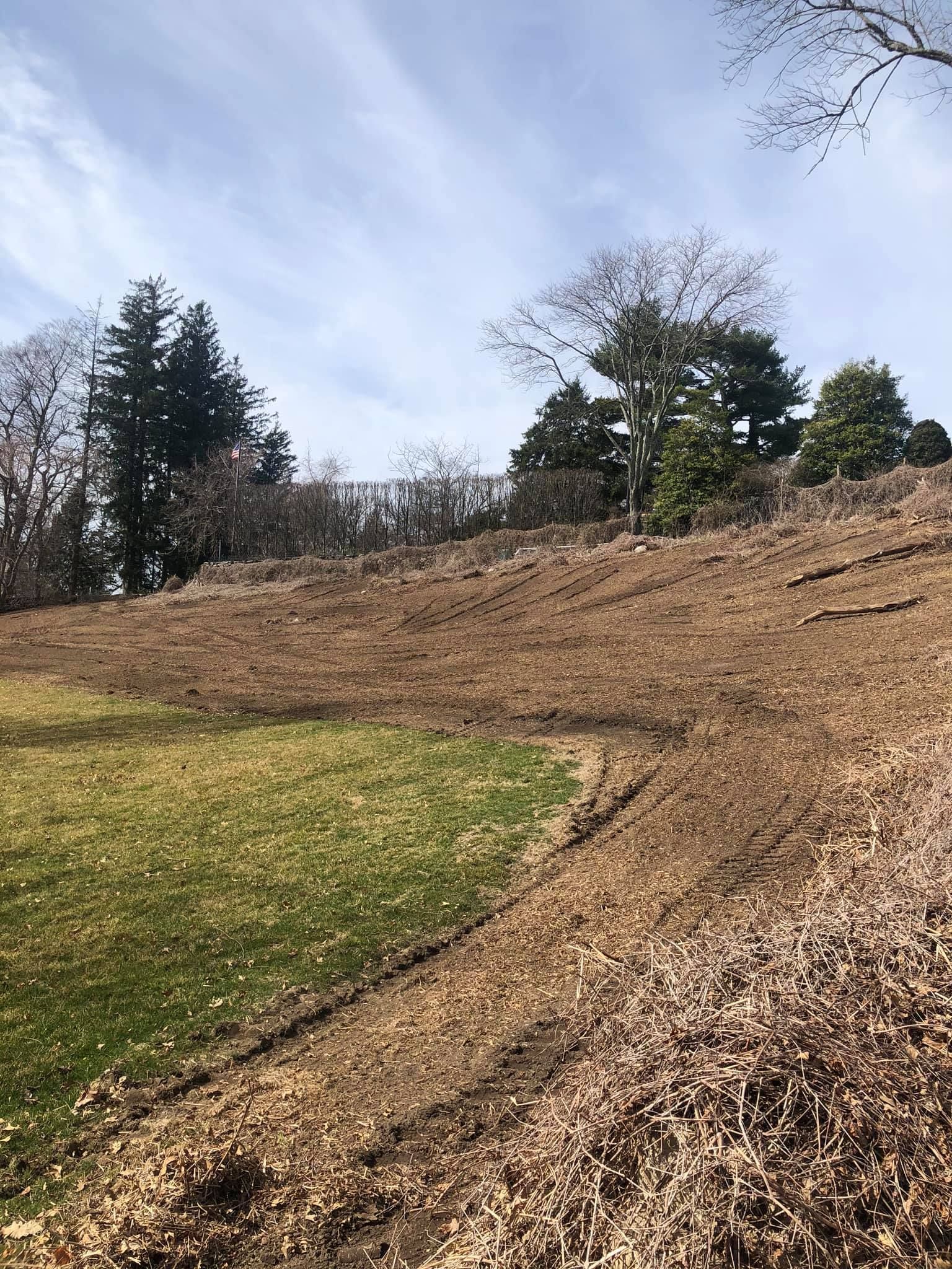 Brown hillside with scattered trees against a cloudy sky. Green grass in the foreground.