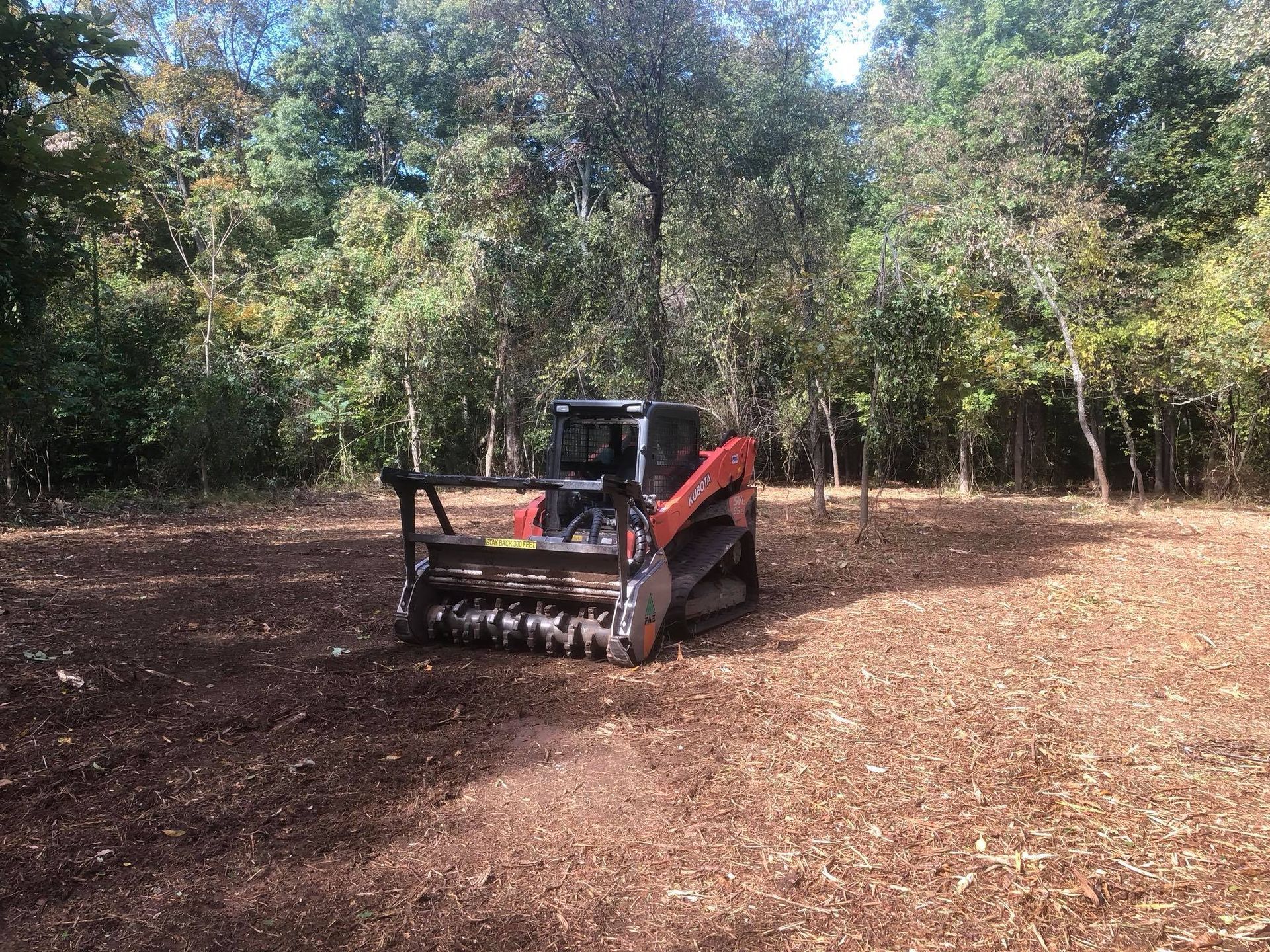 Bobcat mulcher clearing a wooded area of ground.