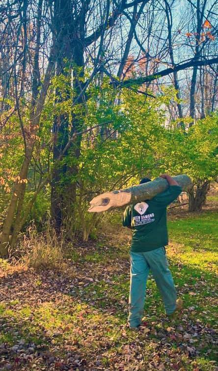 A man is carrying a large log on his back in the woods.