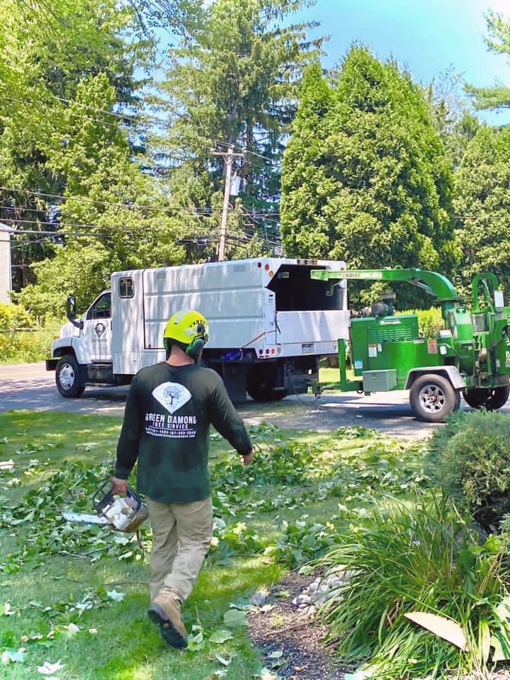 A man is walking in front of a tree chipper and a truck.