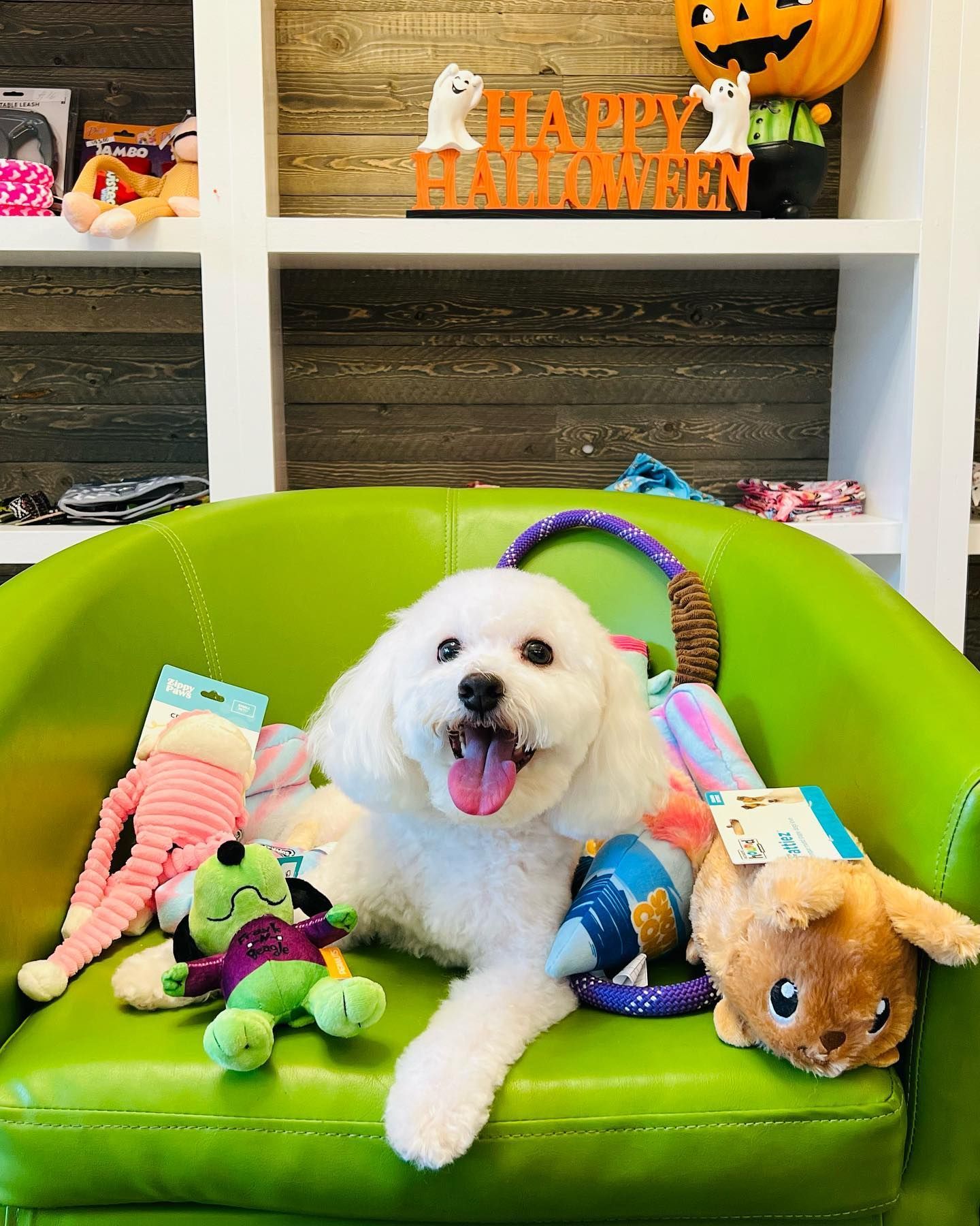 A white dog is laying on a green chair surrounded by toys.