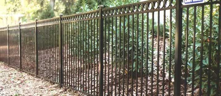 A black metal fence along a tree-lined area, with leaves on the ground.