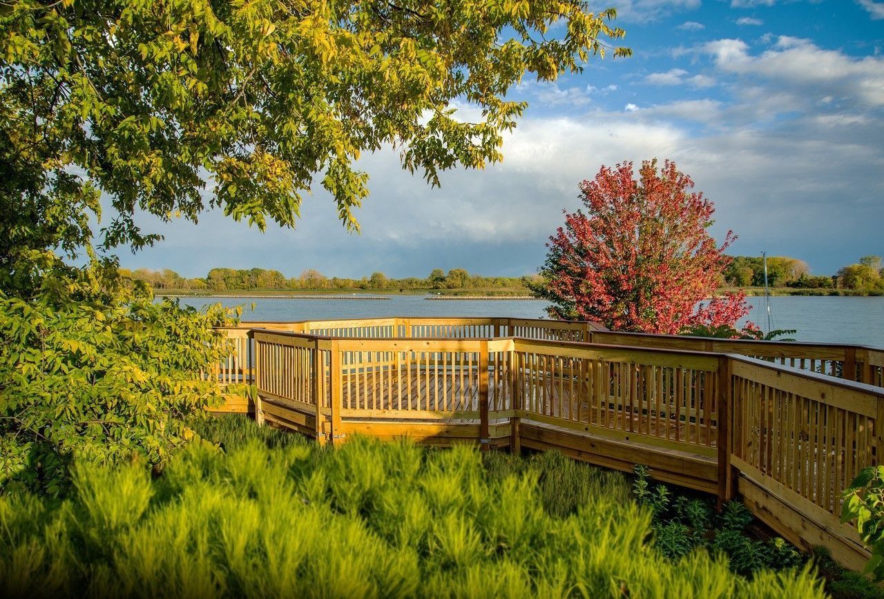 Wooden boardwalk overlooking a lake, with green grass, trees with fall foliage and a cloudy sky.