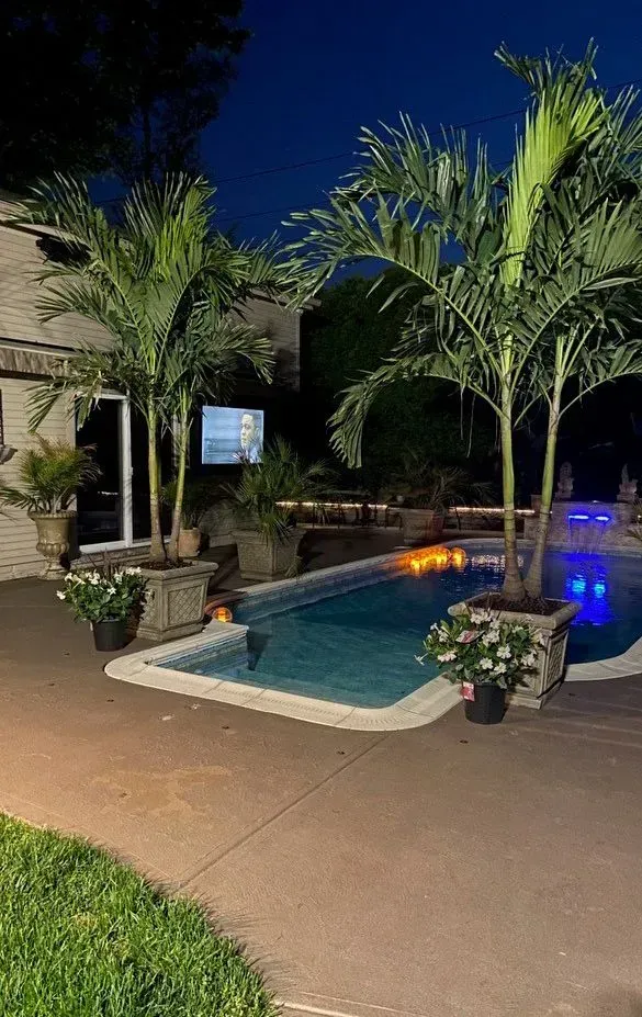A large swimming pool surrounded by palm trees in a backyard at night.