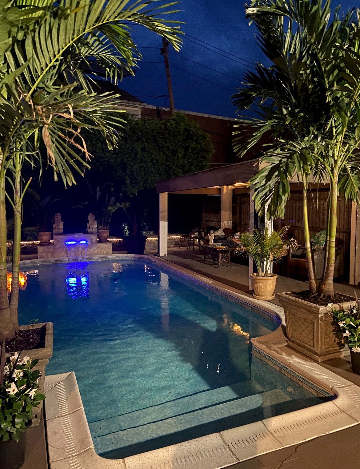 A large swimming pool is lit up at night surrounded by palm trees.