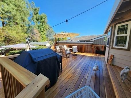Wooden deck with grill, patio furniture, umbrella, and two small dogs on a sunny day.