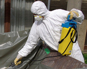 asbestos removal Northampton