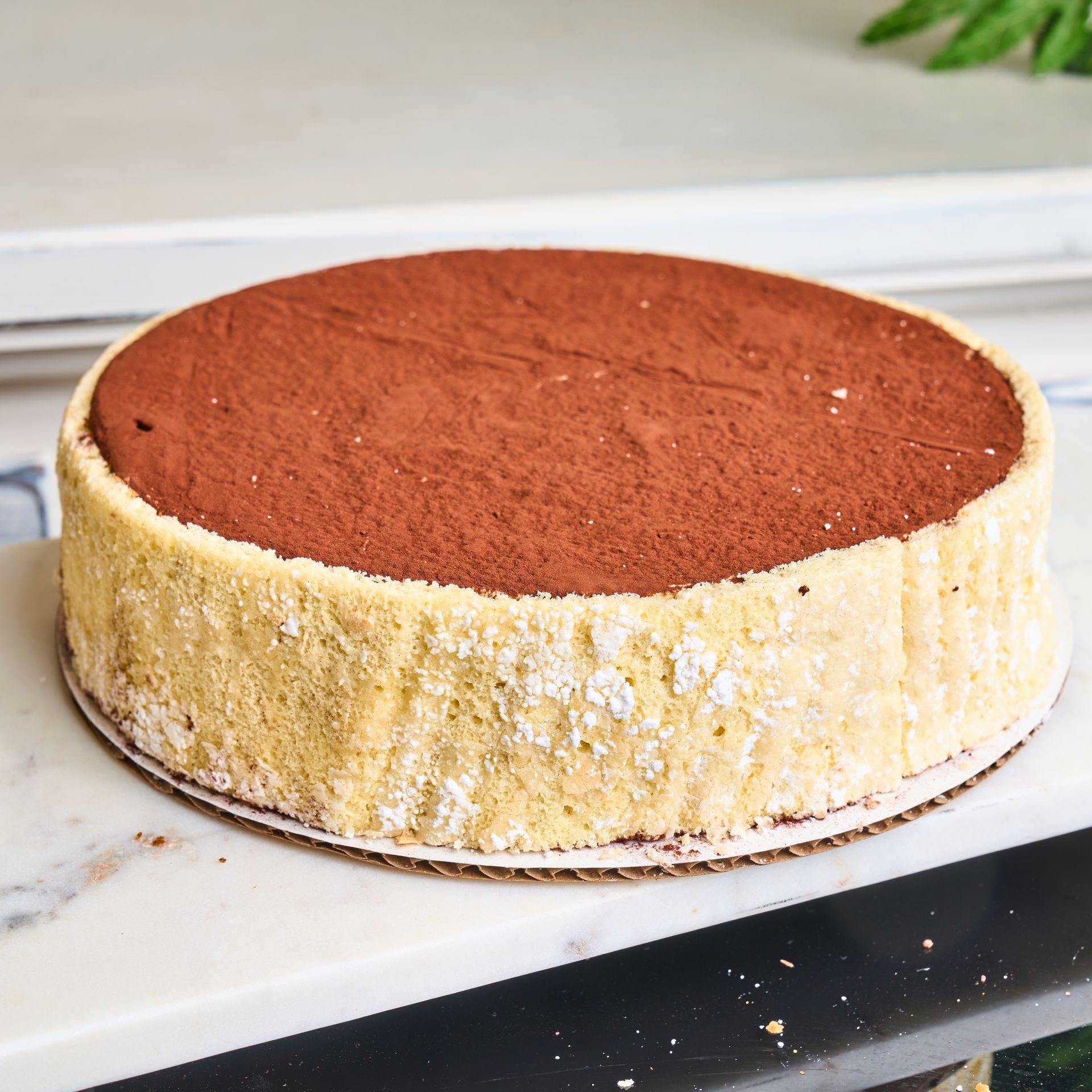 Round tiramisu cake with cocoa powder dusted top and ladyfinger sides.