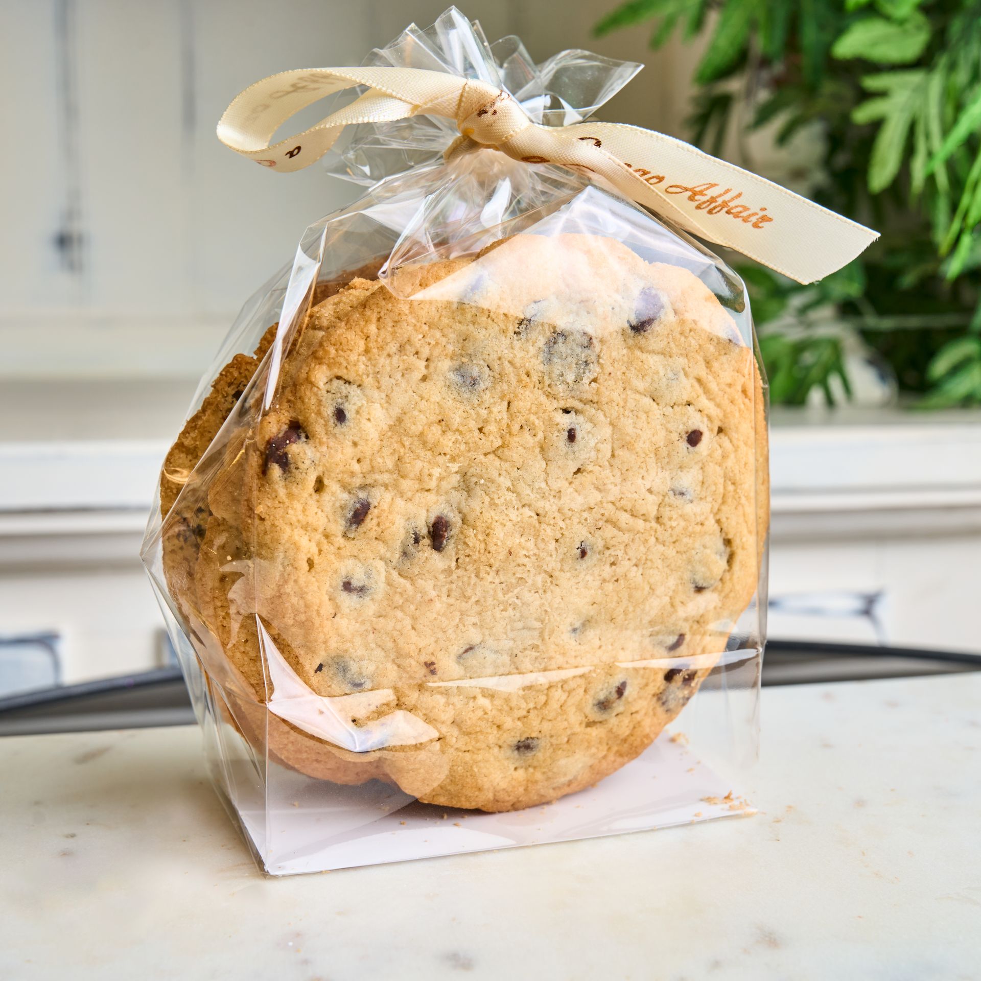 Chocolate chip cookie in clear bag, tied with ribbon.