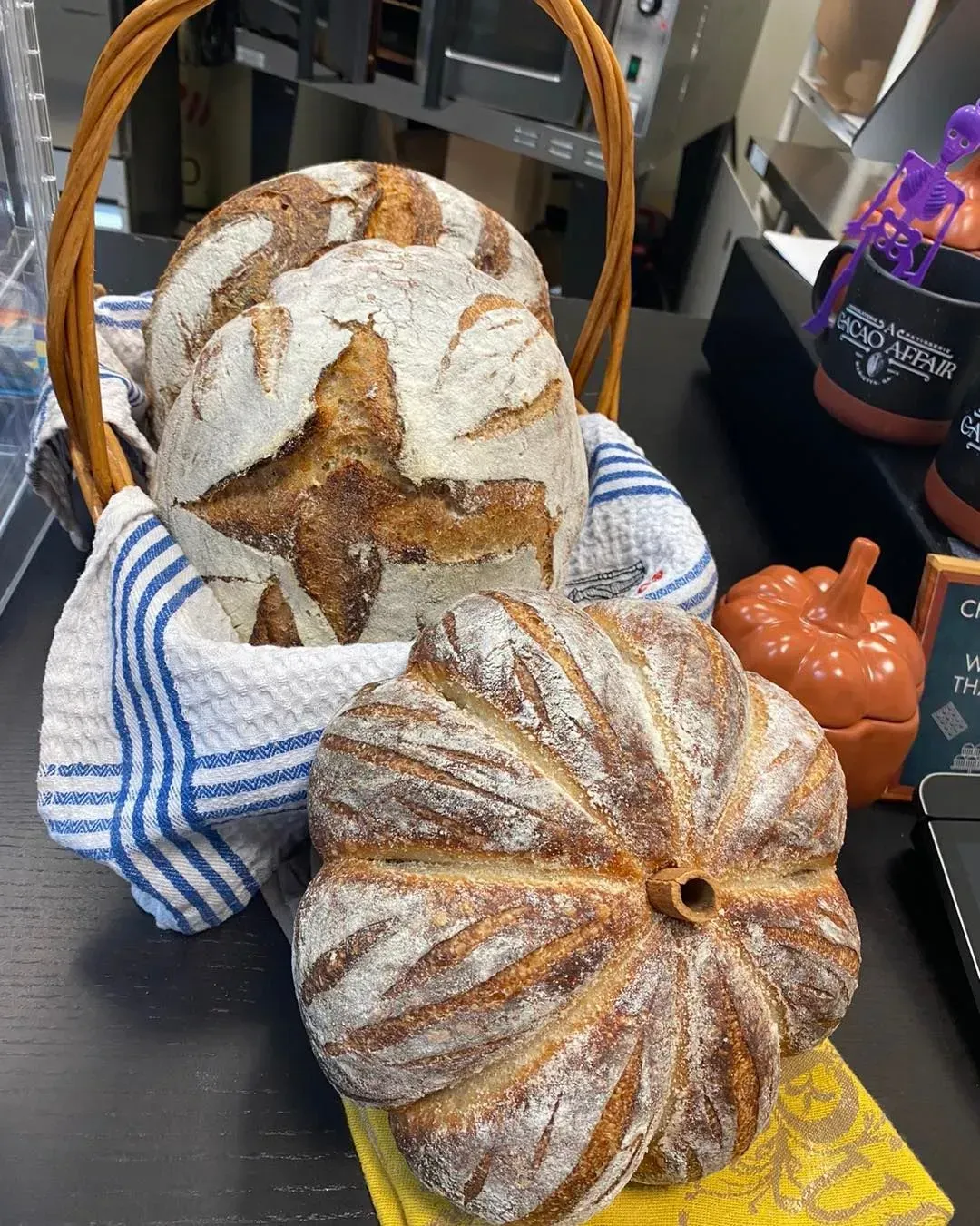 Two artisan loaves of bread: one round, the other pumpkin-shaped. Both have scored tops and sit in a basket.