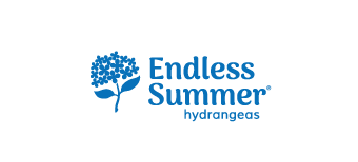 Endless Summer Hydrangea