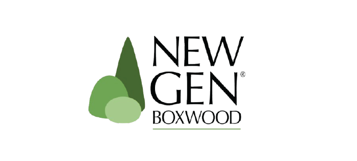NewGen Boxwood