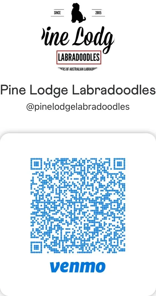 A qr code for pine lodge labradoroodles is on a white background.