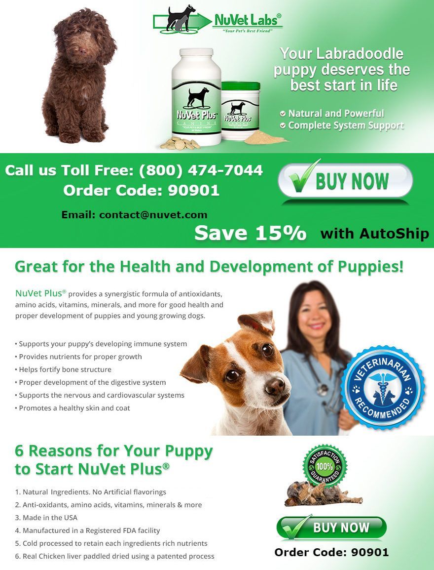 An advertisement for nuvet plus shows a woman and two dogs