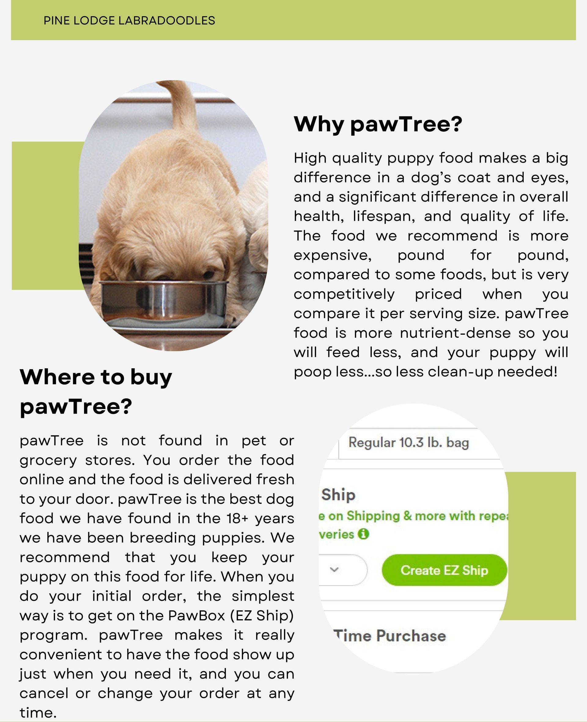 A dog is eating from a bowl on a page that says why pawtree