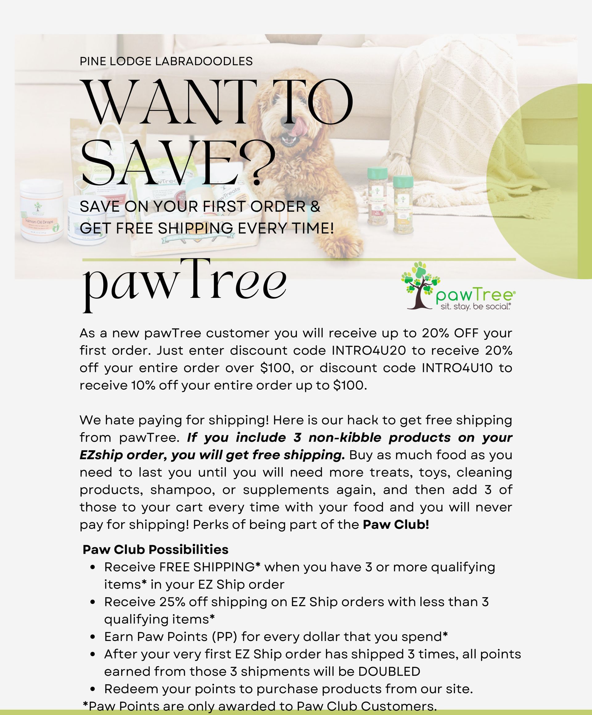 A flyer for pawtree that says 