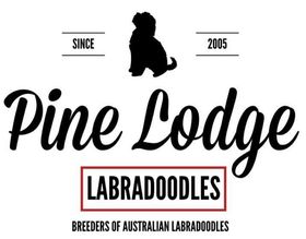 Pine Lodge Labradoodles - logo