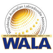 WALA logo with a gold sphere, paw prints, and text. Includes 