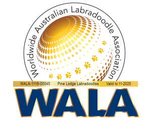 A logo for the worldwide australian labradoodle association