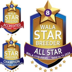 A logo that says Wala Star Breeder all star champion on it