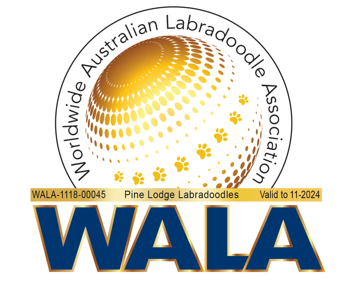 A logo for the Worldwide Australian Labradoodle Association