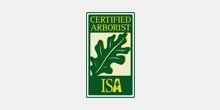 ISA Member
