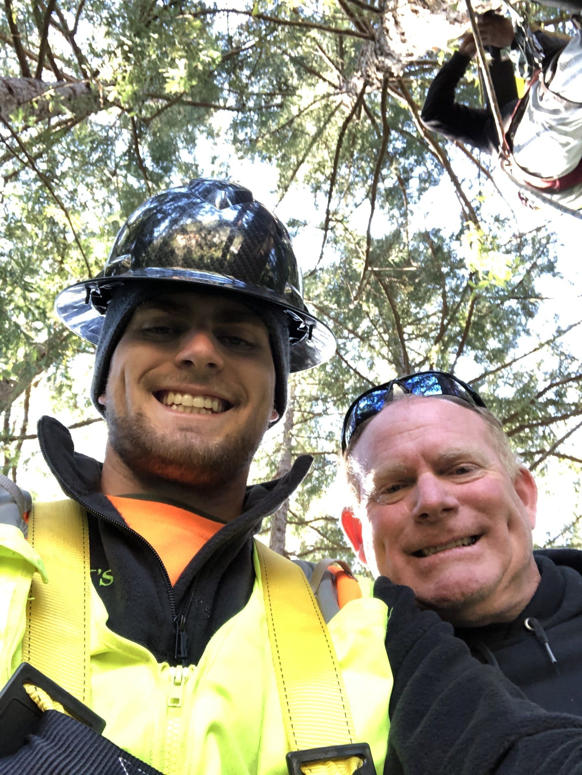 Tree Services