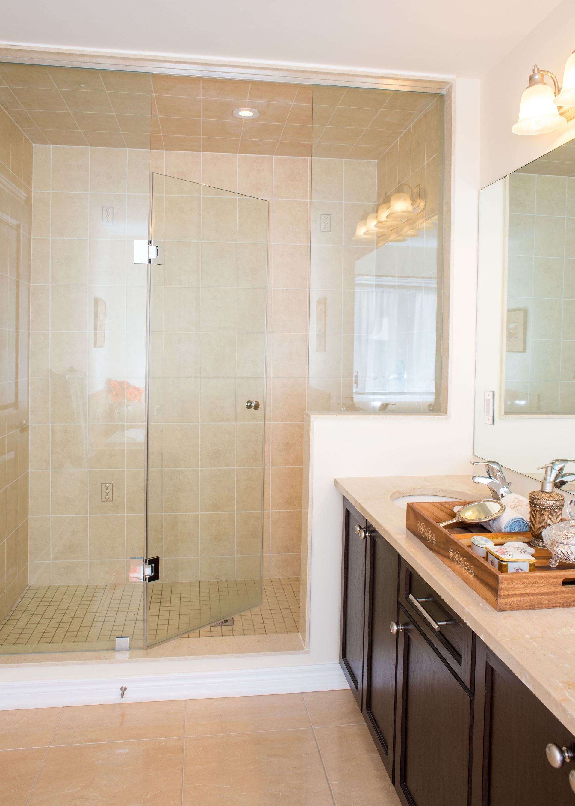 frameless shower door
