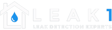 Leak 1 - Logo