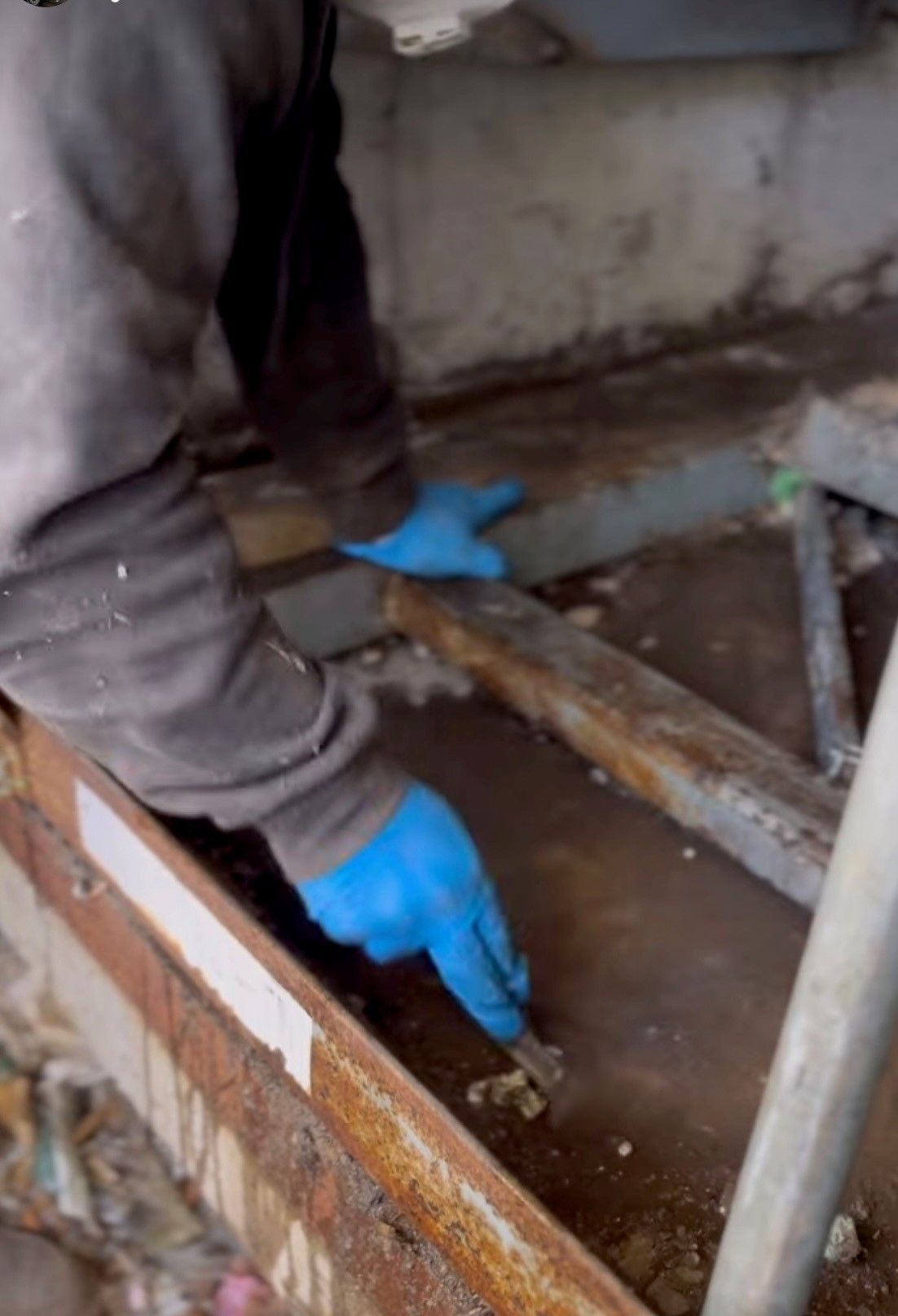 A person wearing blue gloves is cleaning a rusty pipe
