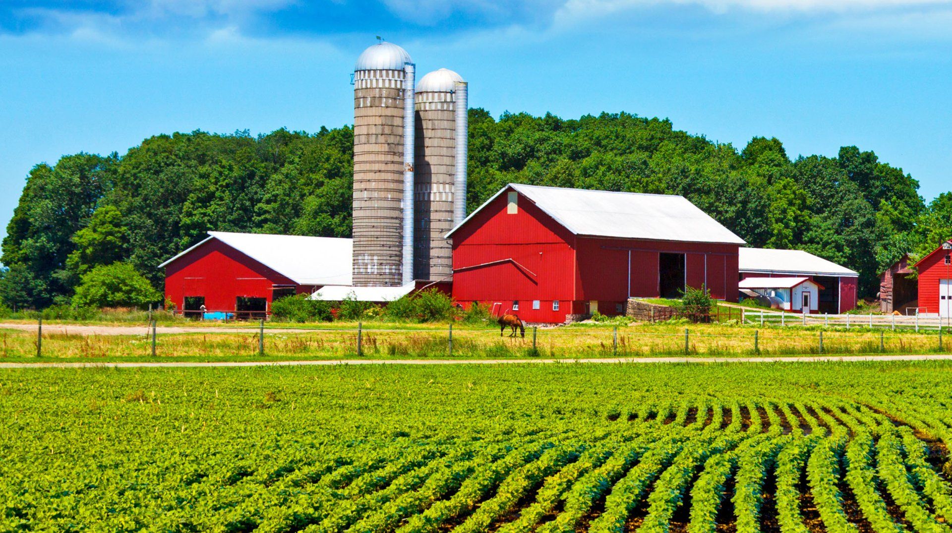 Farm and crop insurance
