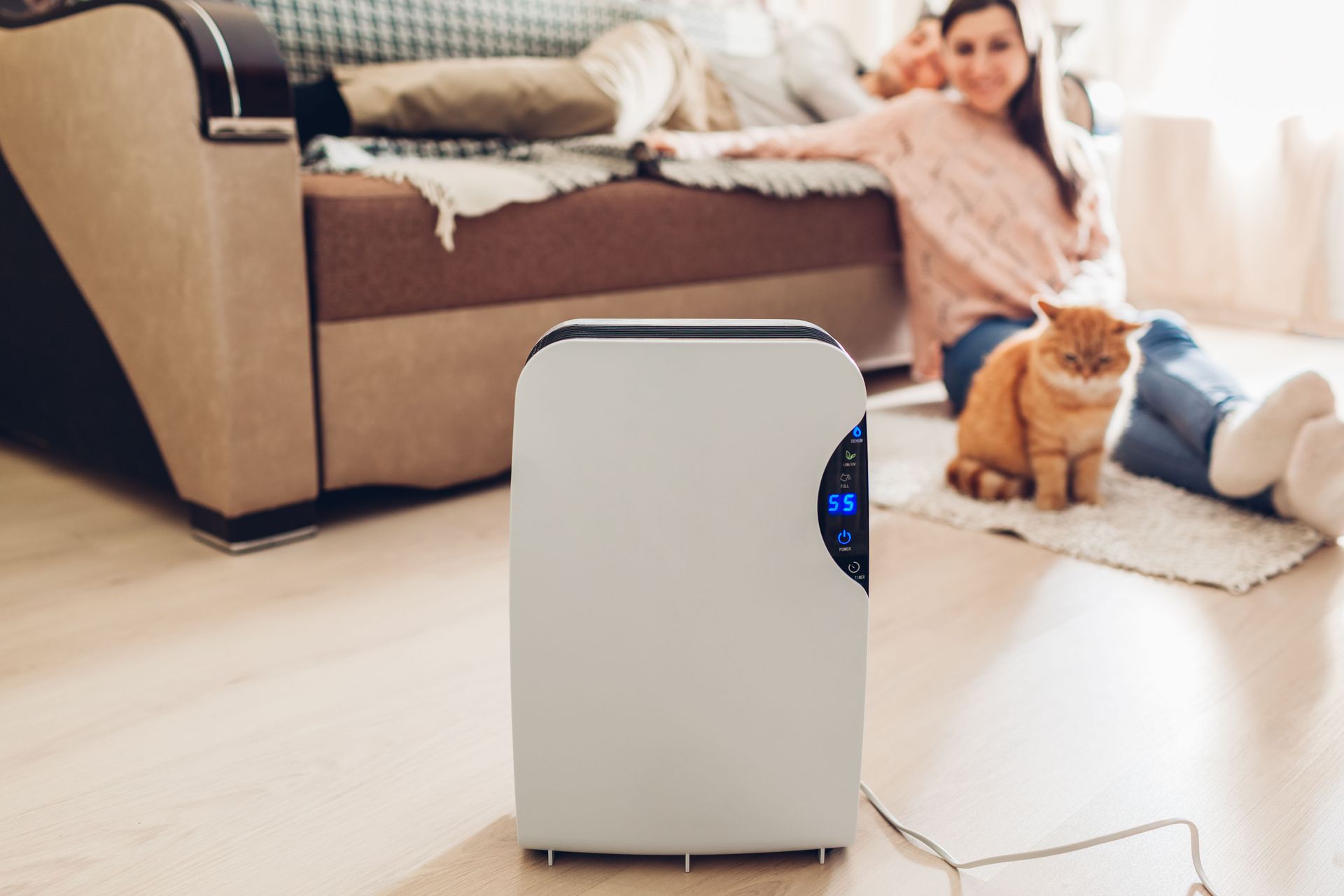 White air purifier in living room; woman and orange cat near sofa.
