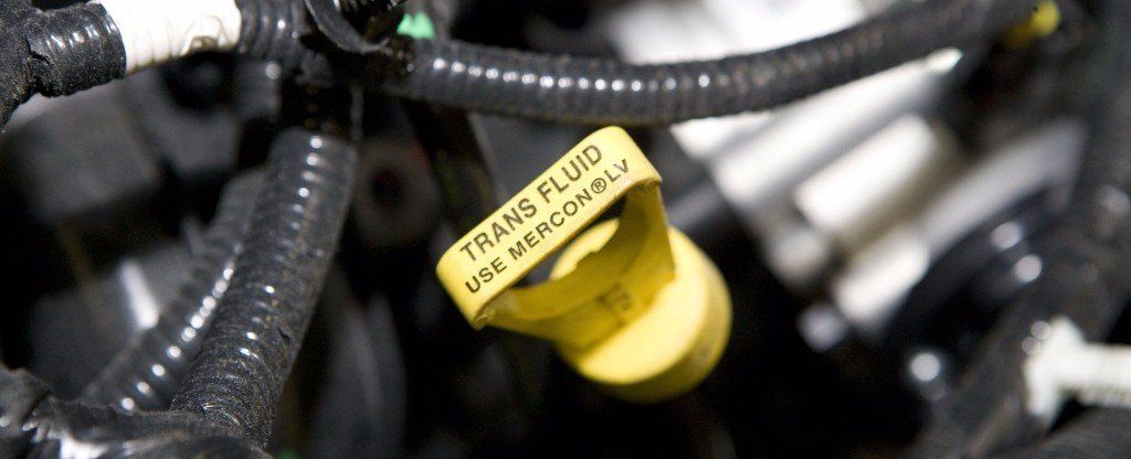Transmission filter