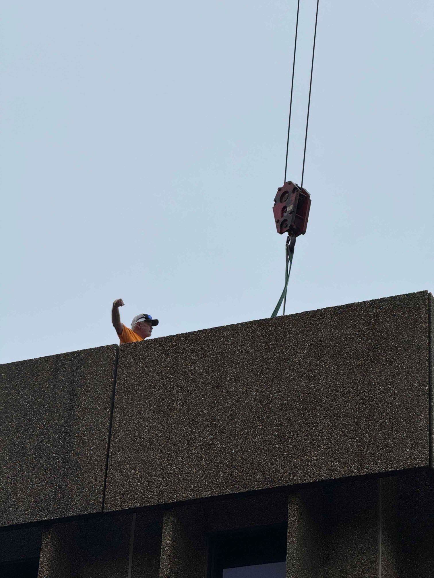 Small cat peeking over a rooftop edge beneath hanging cables against a pale sky