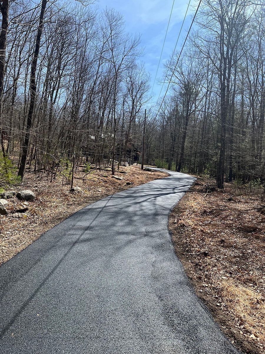 Paved road curves through a forest with bare trees. Overhead, power lines against a blue sky.