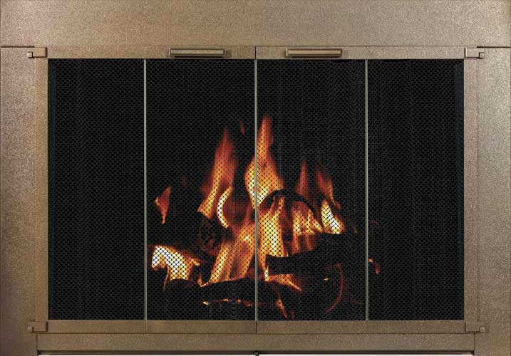 Glass door for fireplace