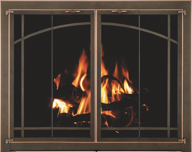 Glass door for fireplace