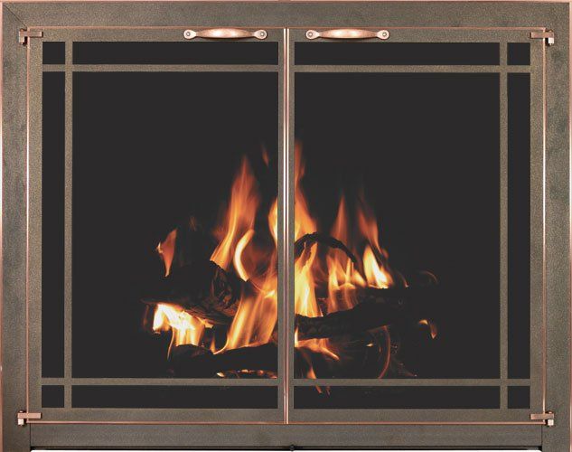 Glass door for fireplace