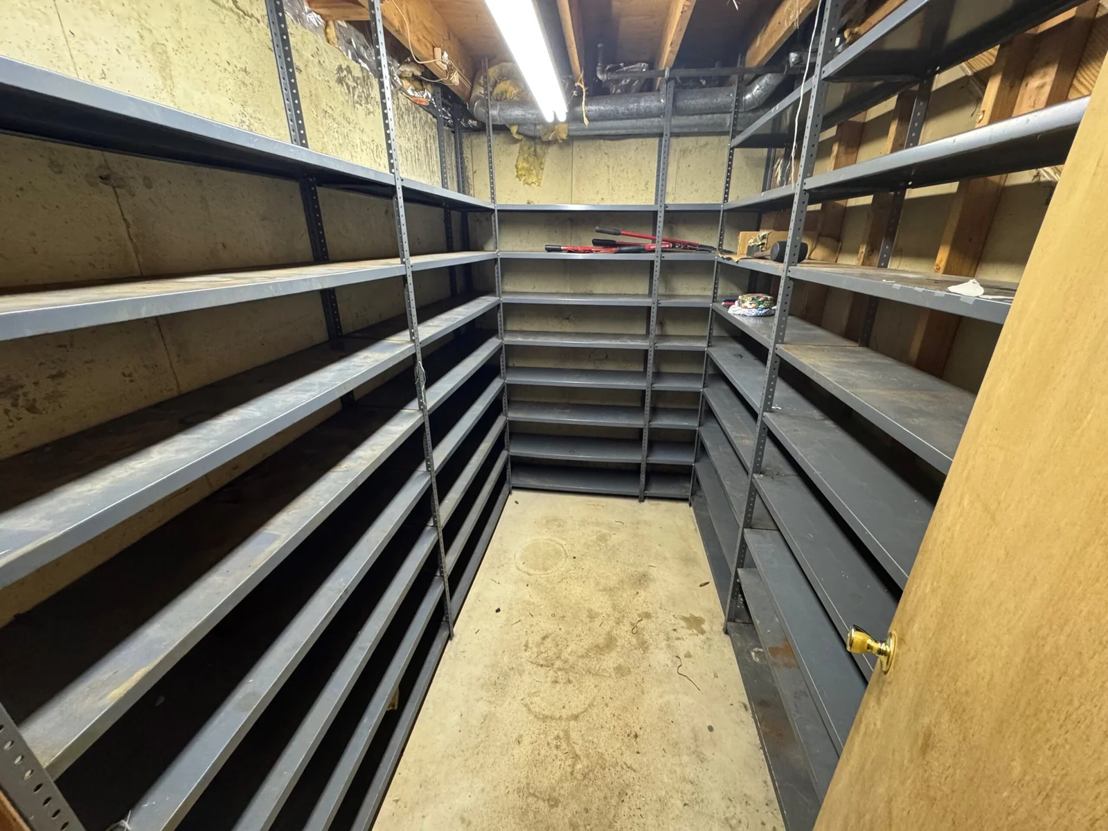 Empty metal shelves line the walls of a storage room, lit by a fluorescent light. Concrete floor, wood paneling.