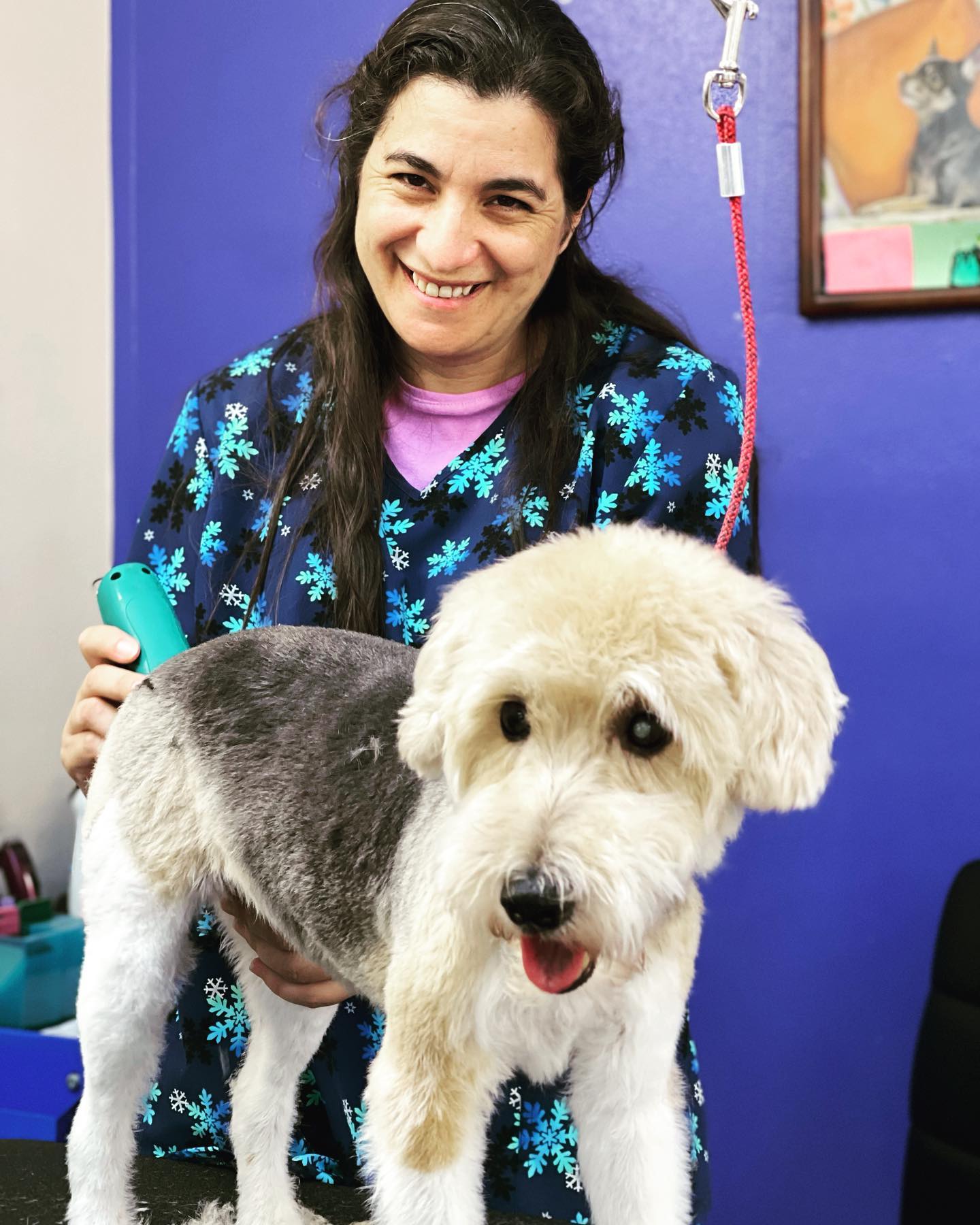 A Girl Smile Who Loves Dog Grooming
