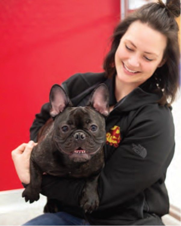 A woman in a black jacket is holding a black dog
