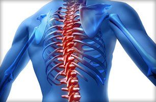 Learn More About Orthopedic Orthopedic services