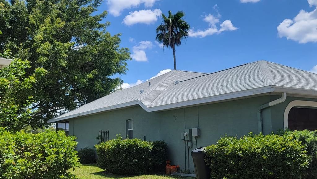 A green house with a white roof and a palm tree in the background.