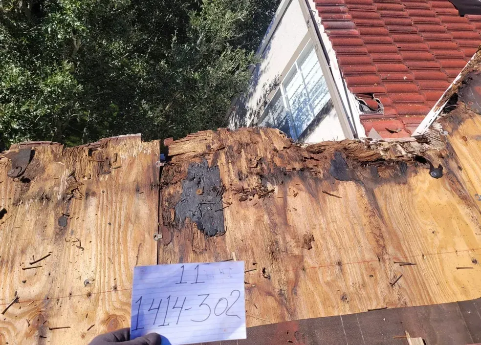 A person is holding a piece of paper with the number 11 on it