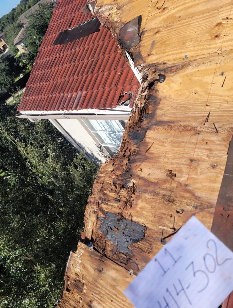 A person holding a piece of wood with the number 11 on it