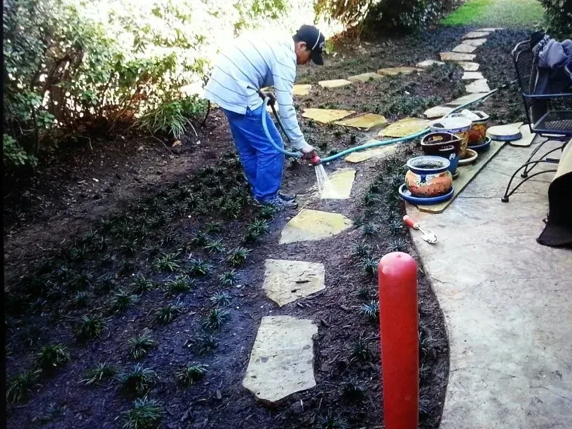 Person watering a garden path with a hose. Stone path leads through dark soil with plants.